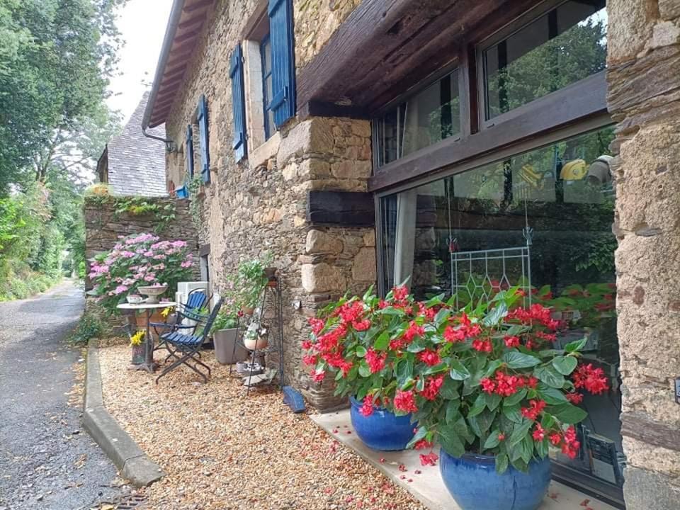 La Maison Bleue Juillac  Zewnętrze zdjęcie